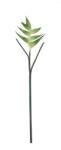 Bizzotto Set 12 flori artificiale verzi 86 cm (0170675)
