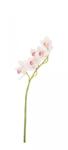 Bizzotto Set 12 Orhidee artificiale 16x10x66 cm (0170679)
