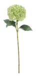 Bizzotto Set 12 Hortensii artificiale verzi 30x25x67 cm (0170634)