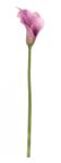 Bizzotto Set 12 Cale artificiale verzi mov 14x21x82 cm (0170656)