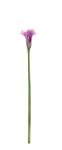 Bizzotto Set 24 Cale artificiale verzi mov 8x61 cm (0170657)