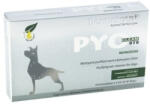 Dermoscent DERMOSCENT PYO Clean Oto, soluție igiena urechilor pipete câini, calmantă, antibacteriene, cutie, 10buc