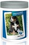  PET PHOS PET PHOS Croissance Grand Chien Ca/P=2, L-XL, supliment sistem osos câini junior, flacon, 100 comprimate