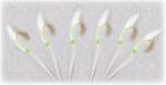 Lineaeffe Taparina Green Skin Gold nr. 6 (A.5639106)