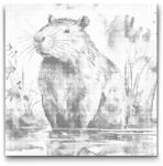  PontPöttyöző - Capybara 2 Méret: 50x50cm, Keretezés: Kartonlemezen, Szín: Kék