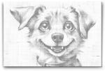  PontPöttyöző - Boldog kutya Méret: 40x60cm, Keretezés: Műanyagtáblával, Szín: Zöld