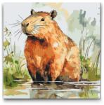  Festés számok szerint - Capybara 2 Méret: 50x50cm, Keretezés: Kartonlemezen