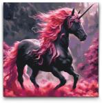  Festés számok szerint - Fekete és rózsaszín egyszarvú Méret: 50x50cm, Keretezés: Műanyagtáblával