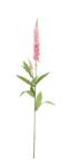 Bizzotto Set 24 flori artificiale verzi roz 12x5x76 cm (0170728)