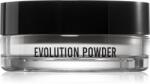 Danessa Myricks Beauty Evolution Powder porpúder árnyalat 1 - Universal 11 g