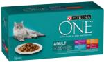 ONE teljes értékű állateledel felnőtt macskák számára - csirke, marha, bárány, tengeri hal 2 x