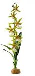 ExoTerra Rainforest Plant Spider Orchid 40 cm