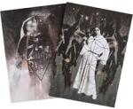  Star Wars - Leia and Vader füzetek - officedepot
