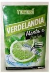 Ritkaságok Yerba Mate Tea, Verdelandia Tereré Menta e Limao 500g