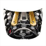AVEX Folie Capota Auto "Hood Art" rezistenta la exterior, marime M (165 x 120cm) - Cod: AVX-CAPOTA-018M