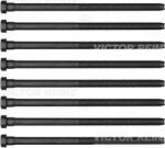 Victor Reinz Set surub, chiulasa VICTOR REINZ 14-32384-02 (14-32384-02)