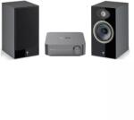 Linkplay WiiM Amp + Focal Theva N1