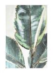 Bizzotto Tablou canvas in ulei Leaf 80x3.5x120 cm (0242833)
