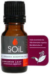 SOiL Ulei Esential Scortisoara, 10ml