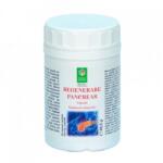 Steaua Divina Regenerare Pancreas, 90 capsule