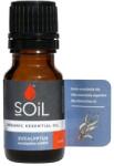 SOiL Ulei Esential Eucalipt, 10ml