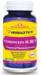 Herbagetica Cordyceps 10/30/1, 30 capsule, Herbagetica - springfarma