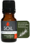 SOiL Ulei Esential Cedru, 10ml