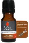 SOiL Ulei Esential Arbore de Ceai, 10ml