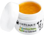 Odylique By Essential Care Balsam Remediu cu Galbenele Bio 20g