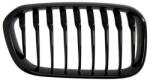 BLIC Grila radiator BLIC BM0104-040AR - automobilus