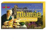 Damar General Trading Extract purificat de rasina Mumie, 30 tablete, Damar