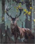 Grafix Set pictură cu diamante Grafix - Deer
