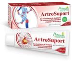 NATURALIS Gel emulsionat ArtroSuport, 100g, Naturalis
