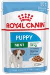 Royal Canin CSOMAGAJÁNLAT (11+1) Royal Canin Mini Puppy alutasakos 12x85g