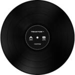 Native Instruments Traktor Control Vinyl Black (NI31218)