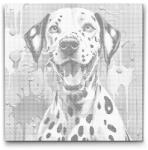  PontPöttyöző - Színes dalmata Méret: 50x50cm, Keretezés: Kartonlemezen, Szín: Piros