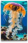  Festés számok szerint - Medúza a tengerben Méret: 40x60cm, Keretezés: Keret nélkül (csak a vászon)