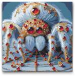  Festés számok szerint - Briliáns pók Méret: 50x50cm, Keretezés: Műanyagtáblával