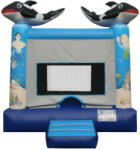 Leziter Dolphin (BO1737)