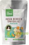 OBIO Incan Berries (Physalis) Fructe Uscate Ecologice/Bio 125g