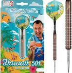 Legend Darts LEGEND WAYNE MARDLE - HAWAII 501 90% - BRONZ - STEEL DARTS SZETT - 23g (D2820)