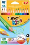 BIC Creioane colorate 12 culori Evolution Triunghiulare Bic 82973511 (829735)