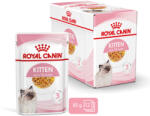 Royal Canin Kitten Jelly - Kölyök macska zselés nedves táp (48 x 85 g) 4.08kg