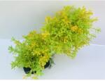  Akváriumi műnövény zöld és sárga levelekkel és hajtásokkal, hajlítható szárral (15 cm; L)