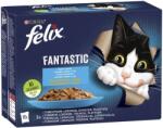 FELIX alutasakos macskaeledel - Halas falatok aszpikban - Multipack (6 karton | 72 alutasak | 72 x 85 g) 6.12kg