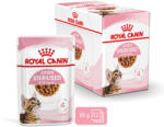 Royal Canin Kitten Sterilised Gravy - Ivartalanított kölyök macska szószos nedves táp (12 x 85 g) 1.02kg