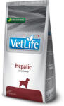 Vet Life Natural Diet Dog Hepatic (2 x 12 kg) 24kg