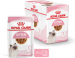 Royal Canin Kitten Gravy - Kölyök macska szószos nedves táp (12 x 85 g) 1.02kg