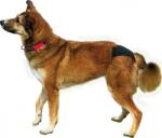 TRIXIE Tüzelőbugyi Xs Fekete 20-25cm