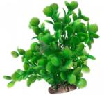  Akváriumi műnövény pajzsalakú levelekkel, fűrészes véggel 25 cm